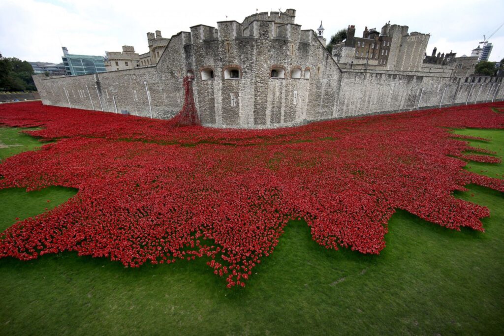 Tower of London 2014 poppy installation